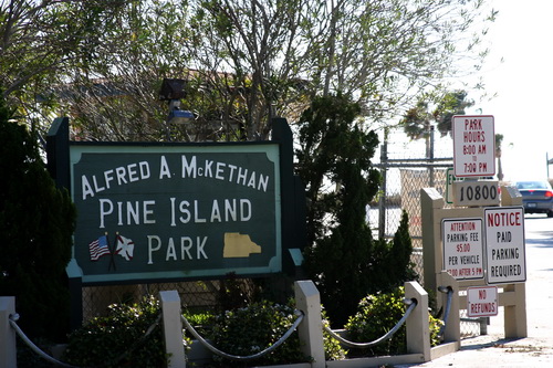 Alfred A. Mckethan - Pine Island Park