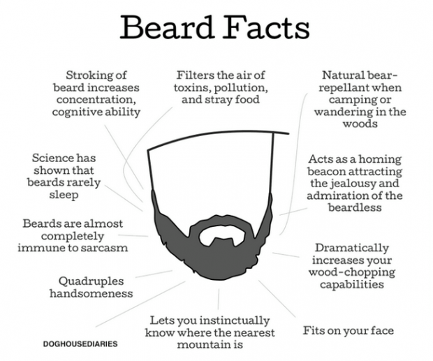 beard_facts